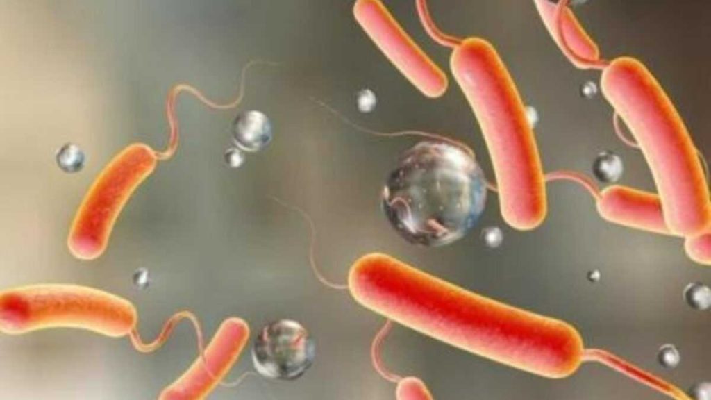 Zimbabwe: state of emergency declared in Harare in the face of a cholera epidemic