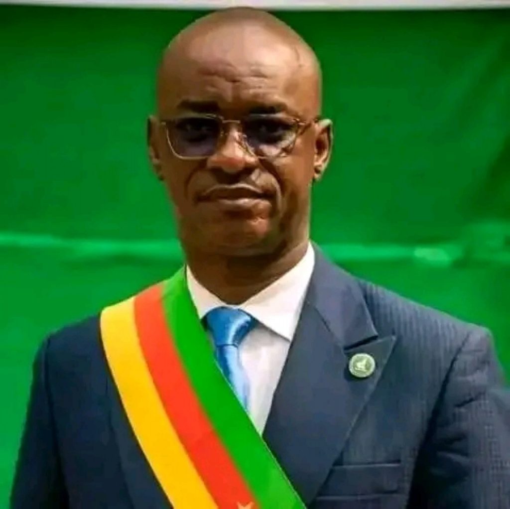 Cameroon: opponent Cabral Libii excluded from May 20 festivities