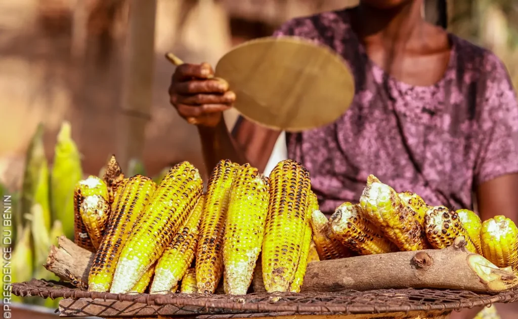 Benin: the price of corn falls to less than 150 FCFA/Kg in places