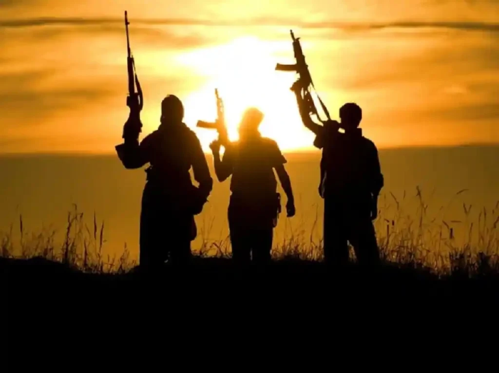 Cameroon: the army neutralizes 02 separatists in the northwest