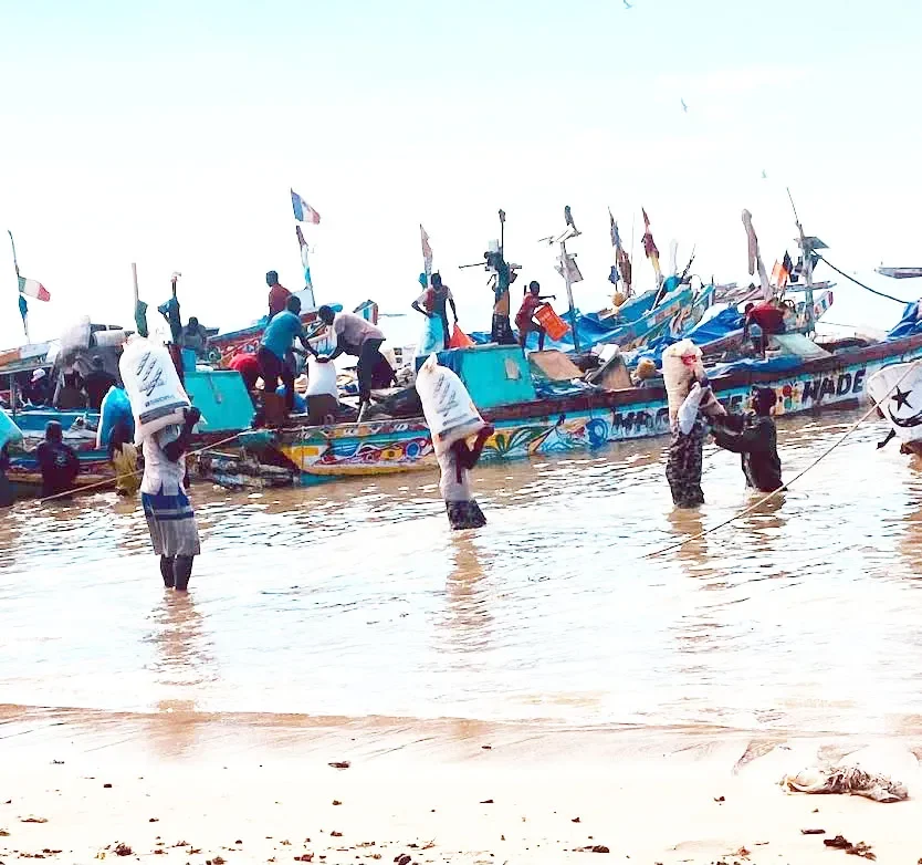 Living together disrupted by irregular emigration January 13, 2026