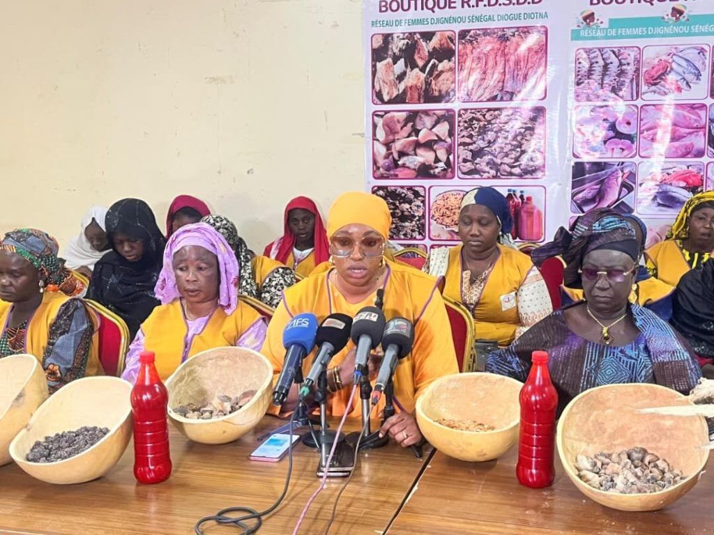 Marketing of fishery products: a project to boost the empowerment of women in Touba