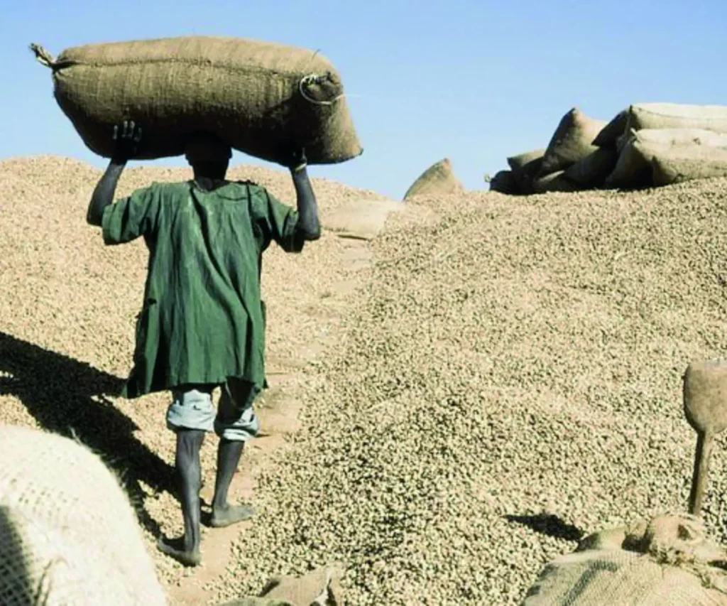 Peanut marketing: The state rescue plan