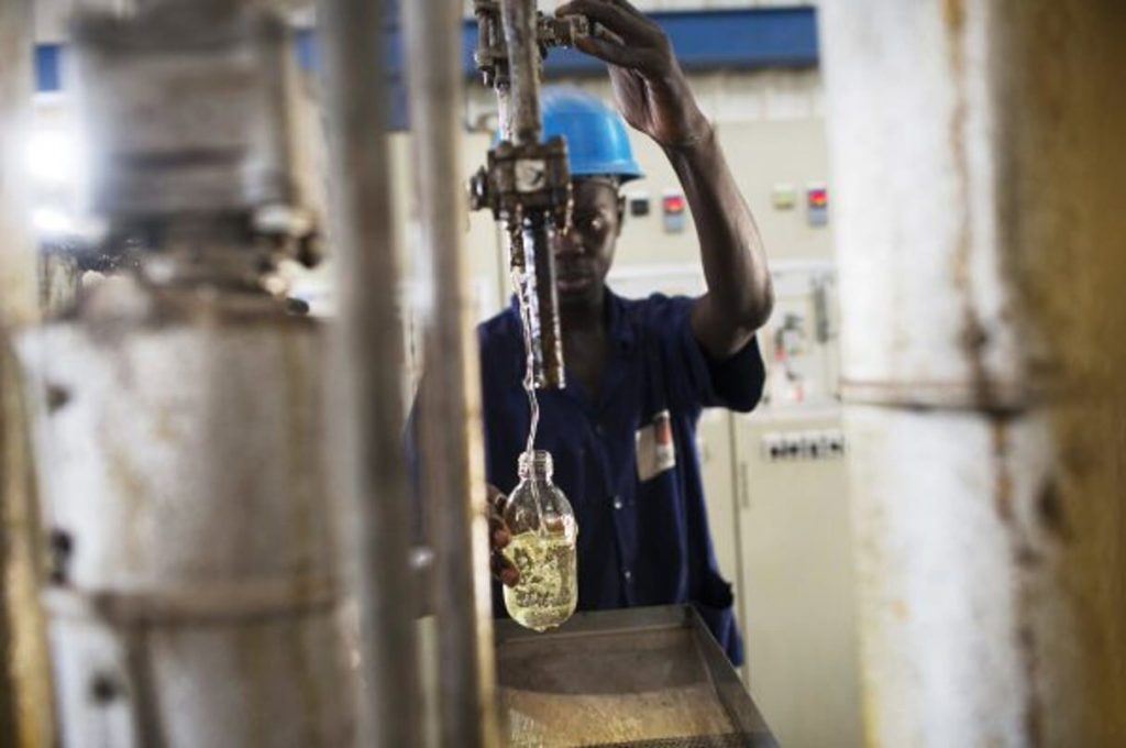 Sendou: a 60 billion FCFA refinery to strengthen the production of edible oils, soon to be inaugurated
