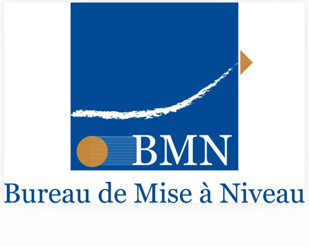 The Upgrading Office relies on the PSN to support SMEs