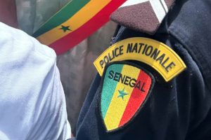 Assault at Point-E: A police officer stabbed during an arrest at the “tooth of the sea”