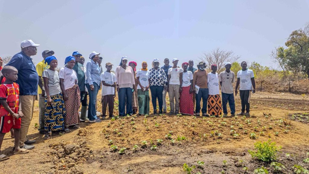 Kédougou: The World Bank evaluates the Bafoundou aquaculture center