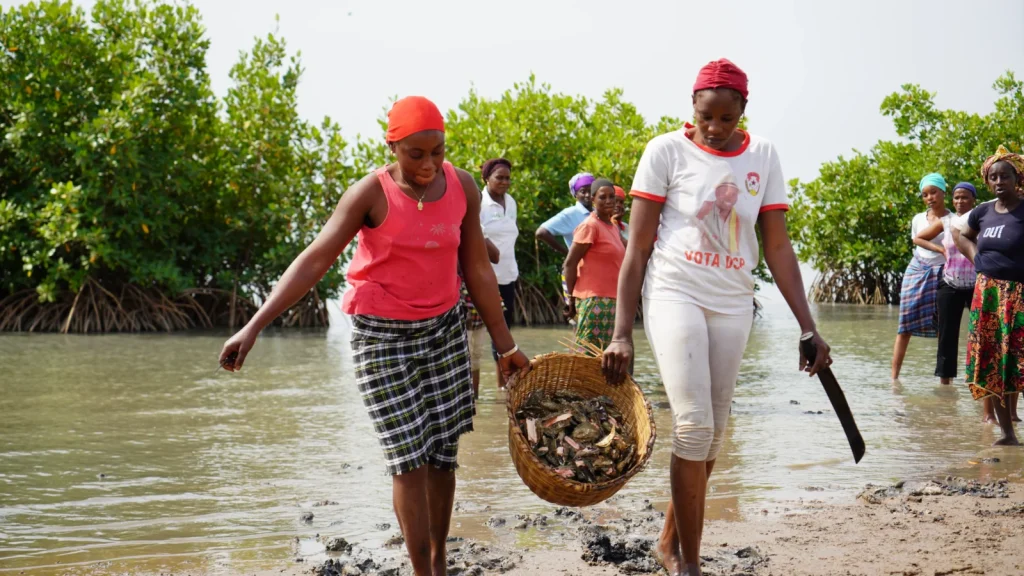 Oyster farming women trained in first aid in Gandiol April 10, 2026