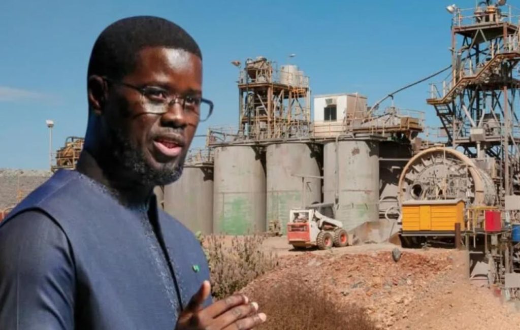 SONACOS in Medina Yoro Foulah: a strategic lever to boost the peanut industry