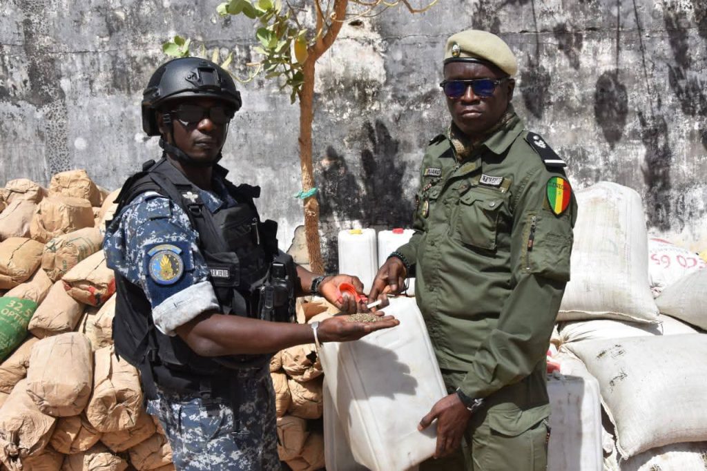 Bignona: 10 tonnes of illicit products seized, 14 people arrested during a vast operation