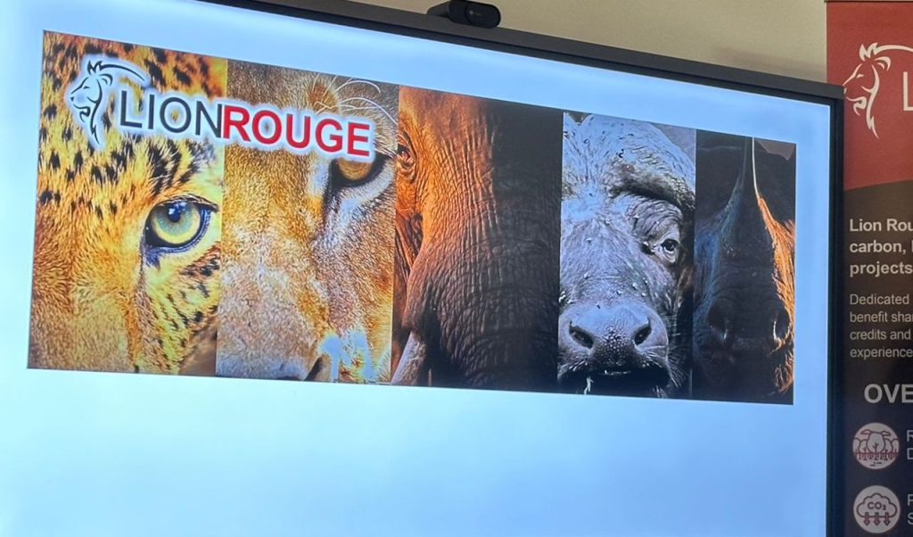 Ecotourism: Senegal wants to create the largest private reserve in West Africa