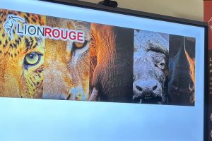 Ecotourism: Senegal wants to create the largest private reserve in West Africa