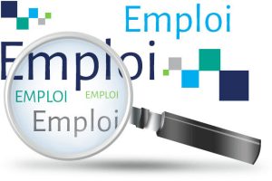 Employment and employability of young people and women: An adapted training project launched Wednesday in Kolda