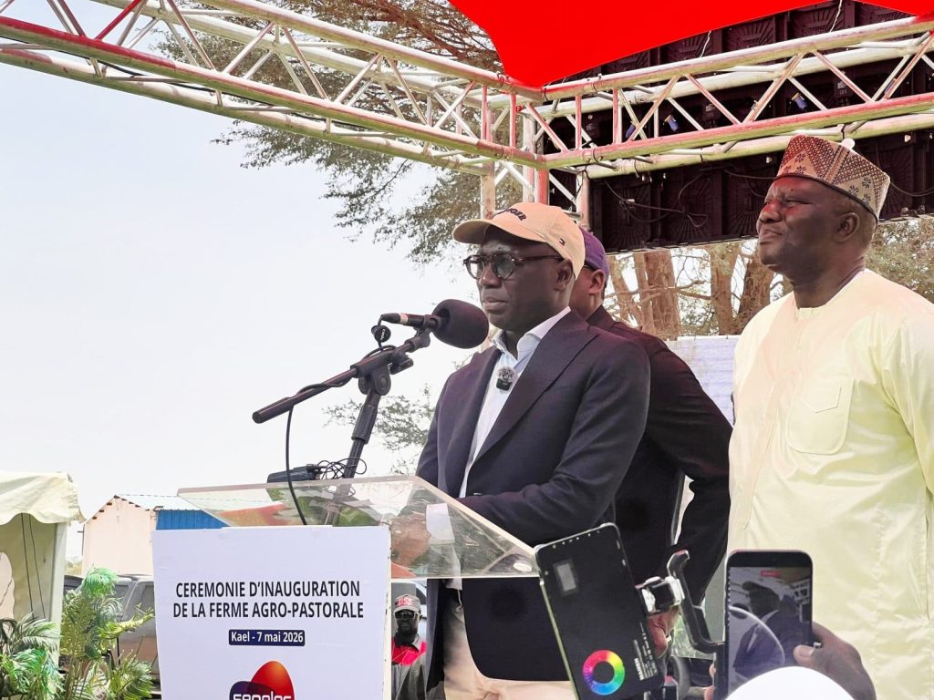 Mbacké: an agro-pastoral farm to support the Kael solar power plant project