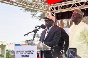 Mbacké: an agro-pastoral farm to support the Kael solar power plant project