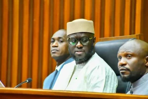 National Assembly: El Malick Ndiaye and Ismaïla Diallo respectively First and Third Vice-President