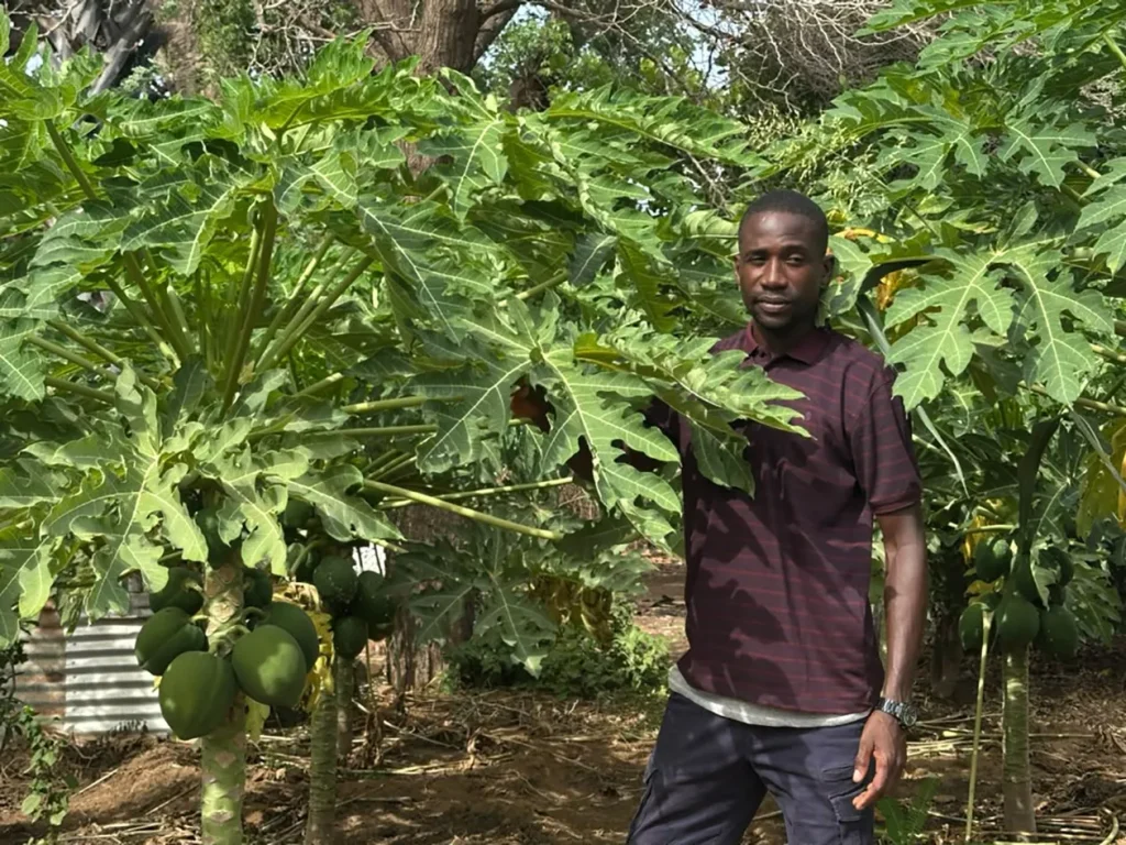 From irregular emigration to agroecology: Mouhamed Camara’s winning bet