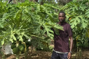 From irregular emigration to agroecology: Mouhamed Camara’s winning bet