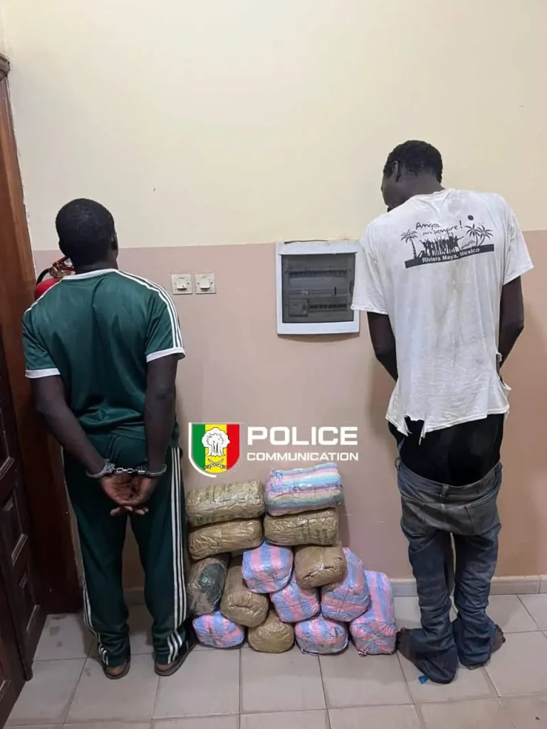 Kaolack: police dismantle drug trafficking network and seize 15 kg of Indian hemp