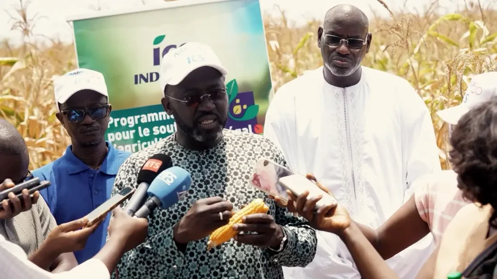 PICSA: ICS focus on seed quality to boost yields