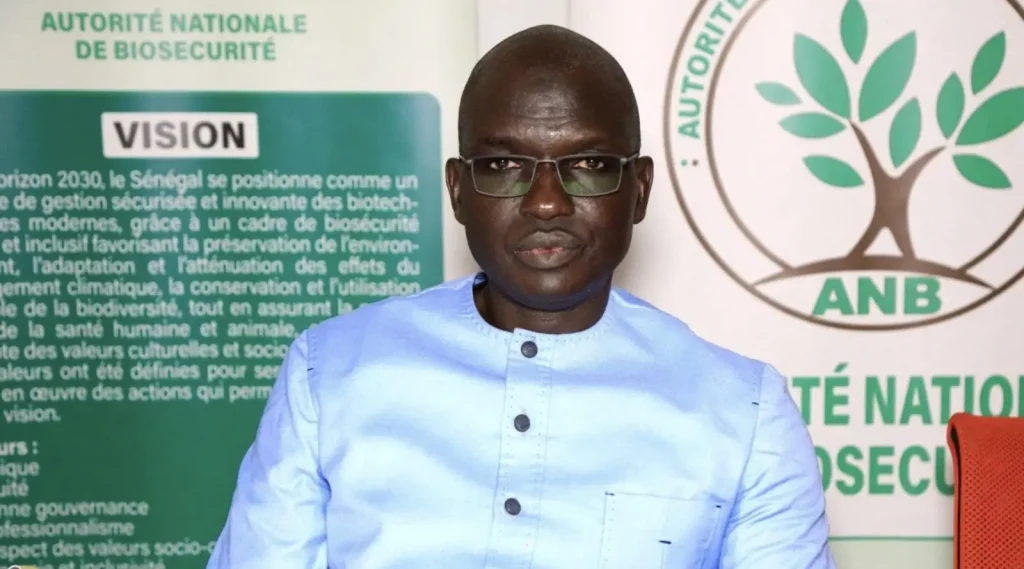 Aliou Ndiaye, director of the ANB: “GMOs are not a bomb of mass destruction” (Video) July 20, 2026