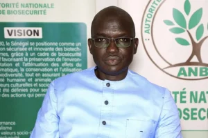 Aliou Ndiaye, director of the ANB: “GMOs are not a bomb of mass destruction” (Video) July 20, 2026
