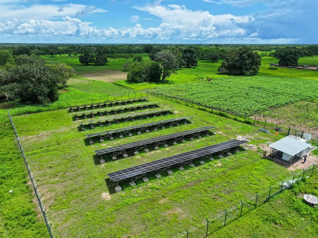 National program for universal access to electricity: Aser connects 15 villages between Kolda and Sédhiou