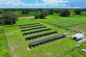 National program for universal access to electricity: Aser connects 15 villages between Kolda and Sédhiou