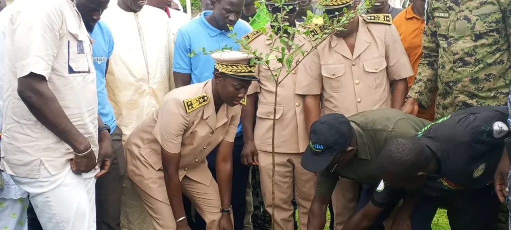 Reforestation campaign in Guinguinéo: A target of 6,000 plants set in the department!