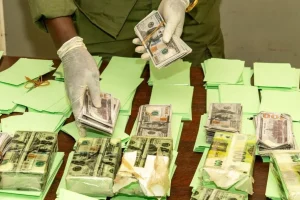 Toubab Dialaw: 47.76 million CFA francs in counterfeit notes seized