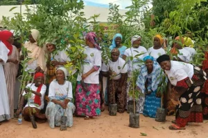 Women of Moricounda benefit from a donation of equipment and plants August 23, 2026