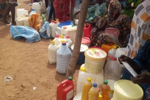 Diw-nior: when curds turn into gold for the women of Ferlo