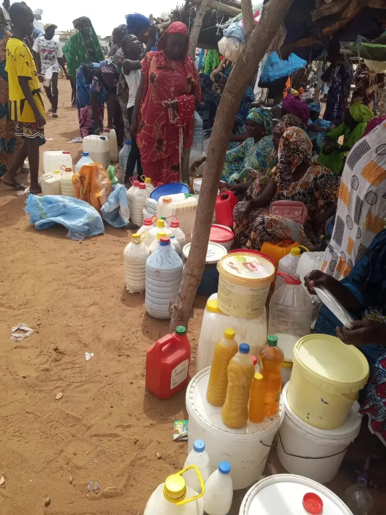 Diw-nior: when curds turn into gold for the women of Ferlo