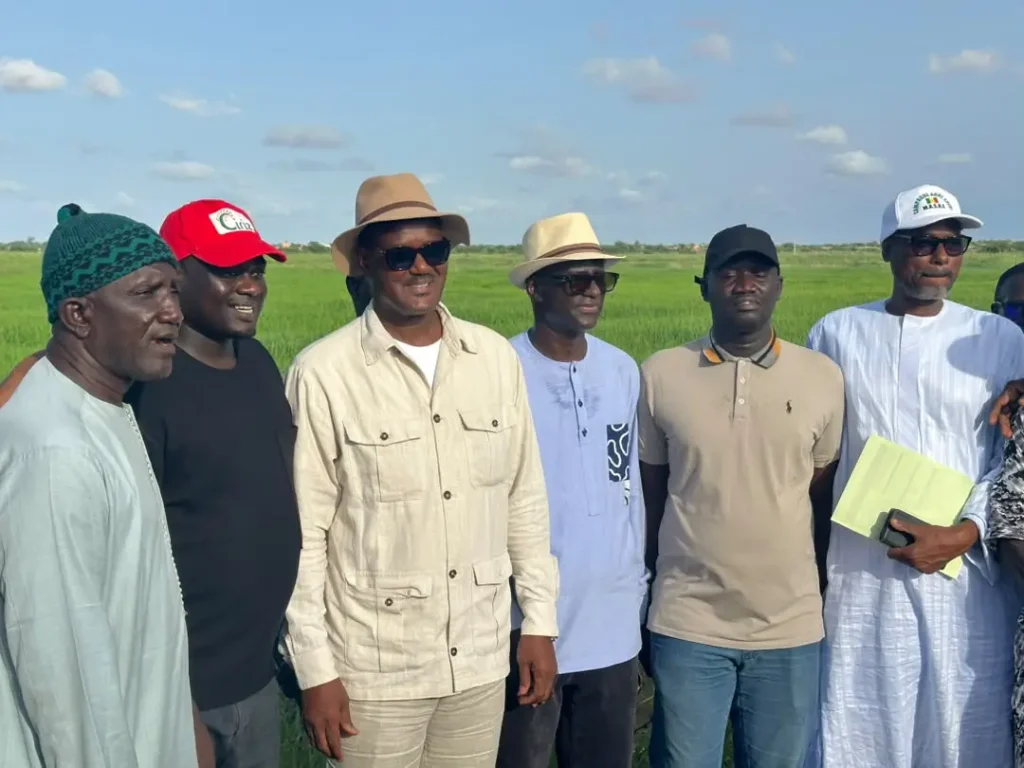 Agricultural tour: Cheikh Oumar Bâ listening to rice stakeholders in Ndiaye