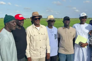 Agricultural tour: Cheikh Oumar Bâ listening to rice stakeholders in Ndiaye