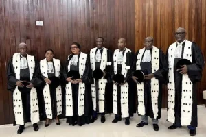 Article 118 of the internal regulations: the Wise Men challenge the provisions on loss of mandate