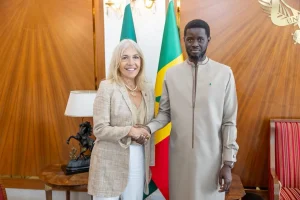 Bassirou Diomaye Faye receives the CEO of France Médias Monde