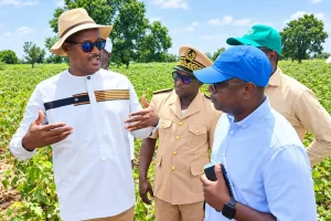 Faced with irregular rains, the State anticipates