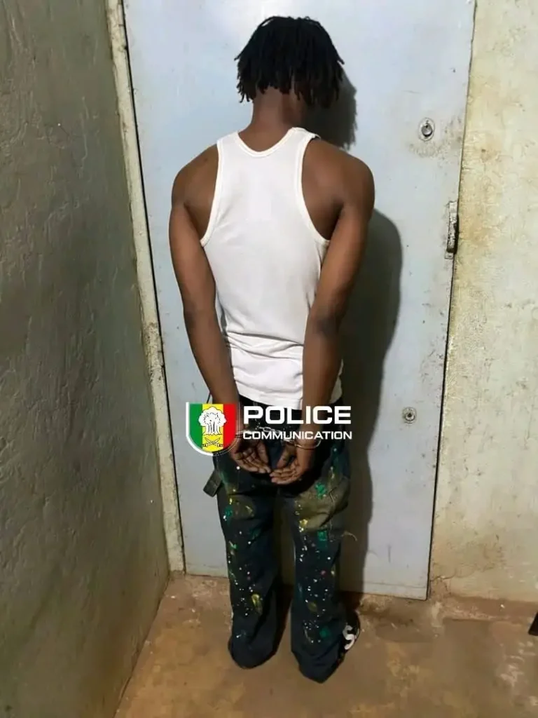 Kédougou: a Tapentadol trafficker arrested with more than 4,300 tablets