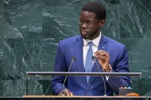 Non-permanent member of the UN Security Council: The diplomatic weight of a strategic seat