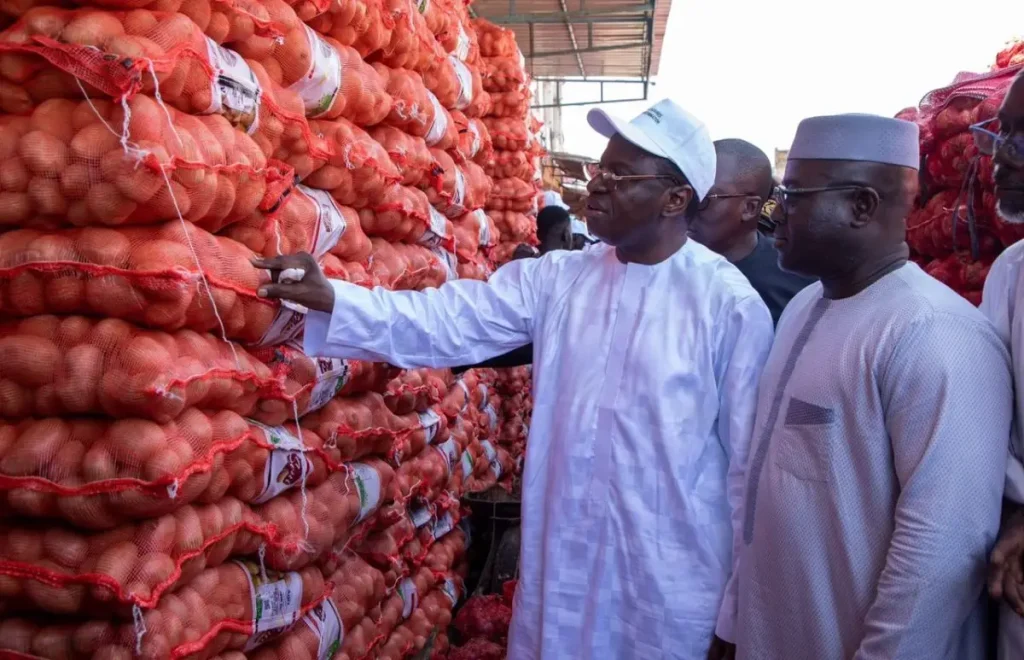 Onion production: import freeze officially lifted