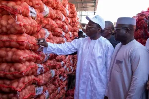 Onion production: import freeze officially lifted