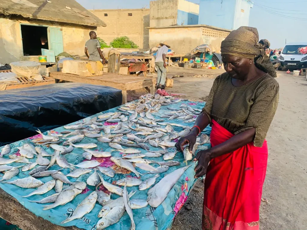 Rufisque: the women of Ndeppé faced with the scarcity of fish