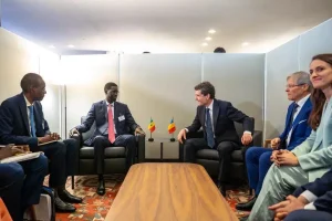Senegalese diplomacy: A vision, a line and actions