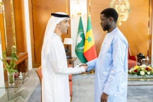 The United Arab Emirates wants to strengthen its deployment in strategic sectors such as energy and mining