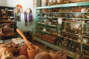 (Video) River ecomuseum: Bringing to life the memory of commerce and the quay