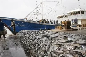 WTO agreement on fisheries subsidies: African craftsmanship between hope and vigilance