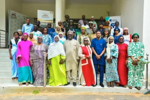 Women, peace and security: the National Assembly emphasizes gender-sensitive budgeting