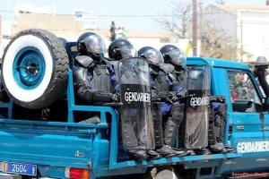 Bignona: 103 people arrested during a security operation