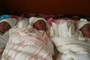 Dahra-Djolof: at 40, she gives birth to triplets
